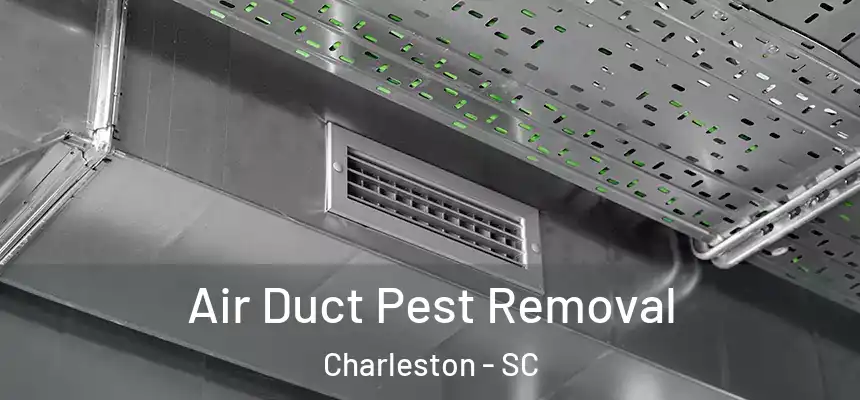  Air Duct Pest Removal Charleston - SC