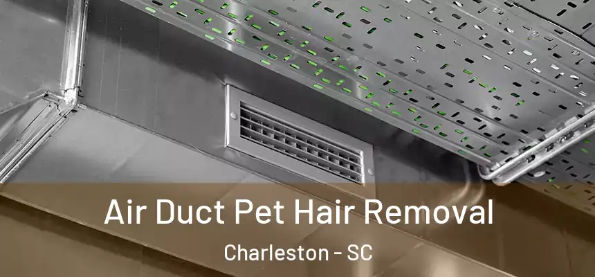  Air Duct Pet Hair Removal Charleston - SC