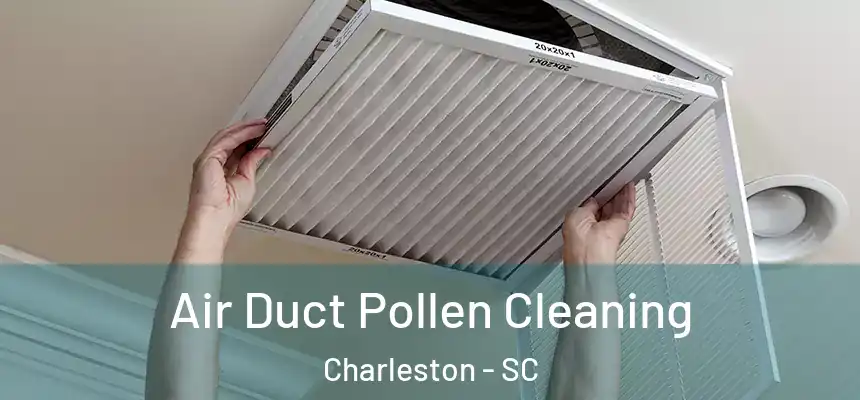 Air Duct Pollen Cleaning Charleston - SC