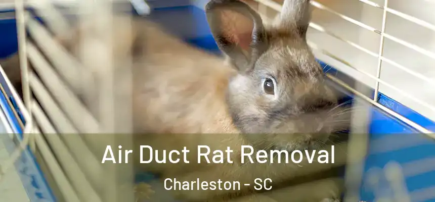 Air Duct Rat Removal Charleston - SC