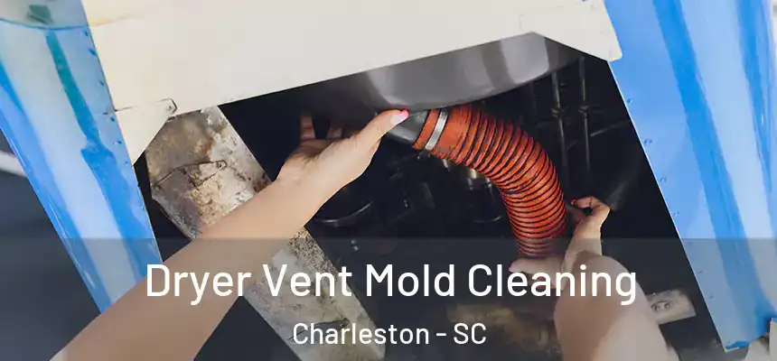  Dryer Vent Mold Cleaning Charleston - SC