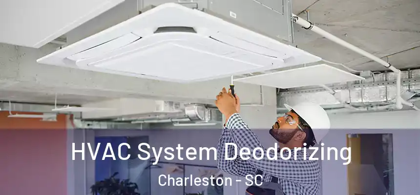  HVAC System Deodorizing Charleston - SC