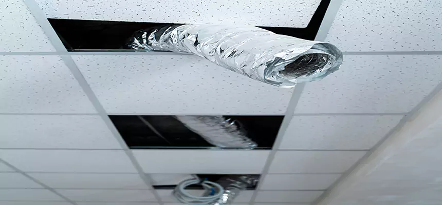 Our Air Duct Pet Hair Removal Services in Charleston, SC