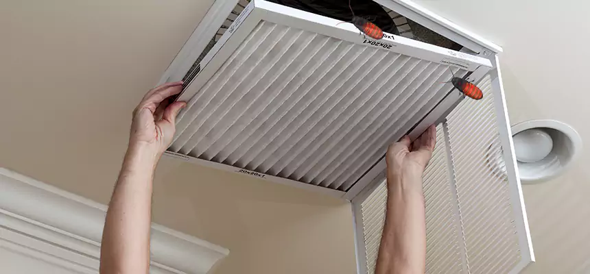 Our Insect Removal from Air Ducts Services in Charleston, SC