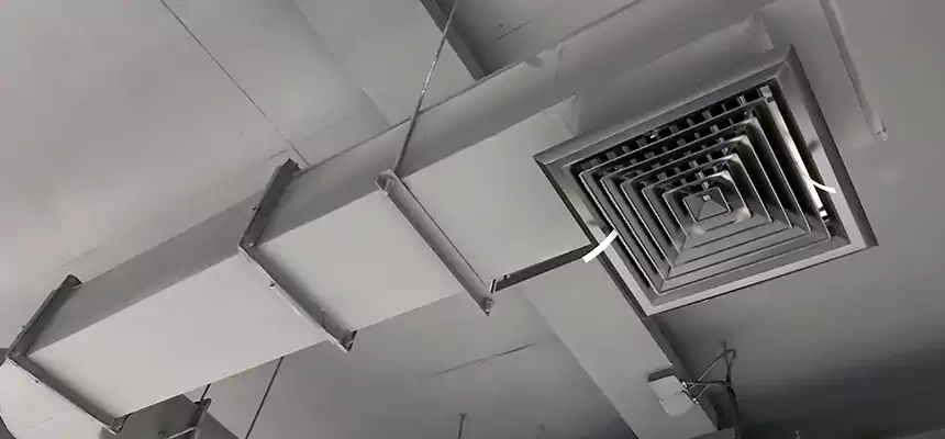 Our Pest Removal From Ducts Services in Charleston, SC