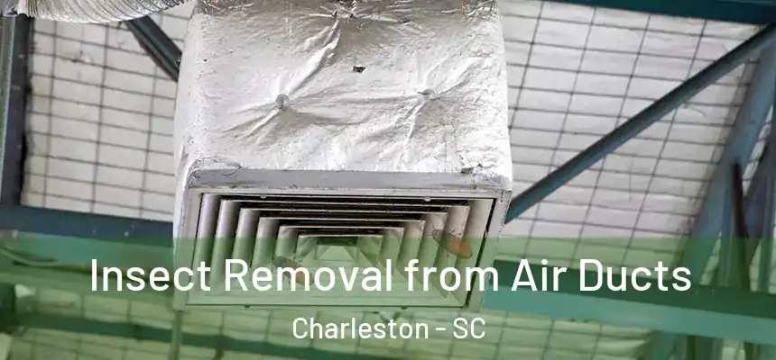  Insect Removal from Air Ducts Charleston - SC