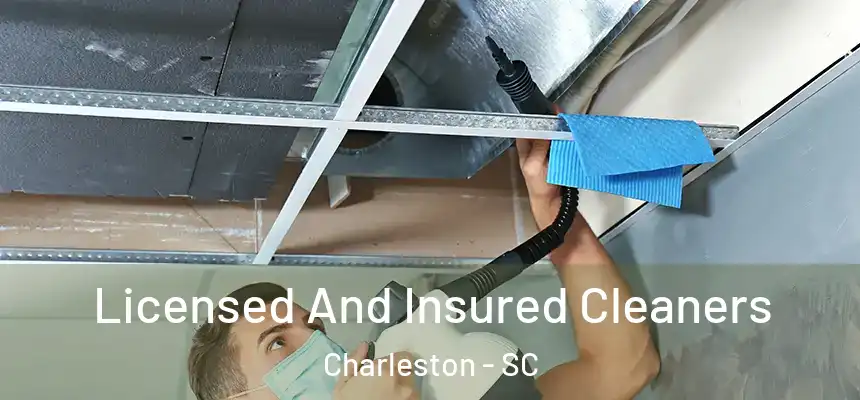  Licensed And Insured Cleaners Charleston - SC