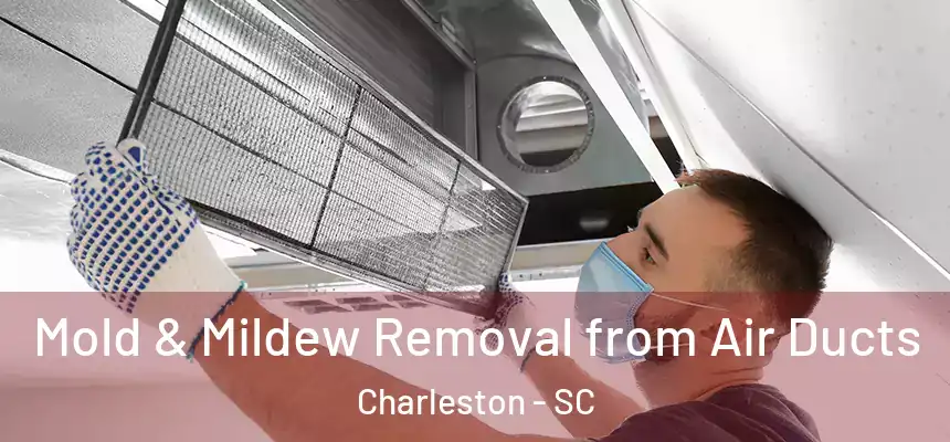  Mold & Mildew Removal from Air Ducts Charleston - SC