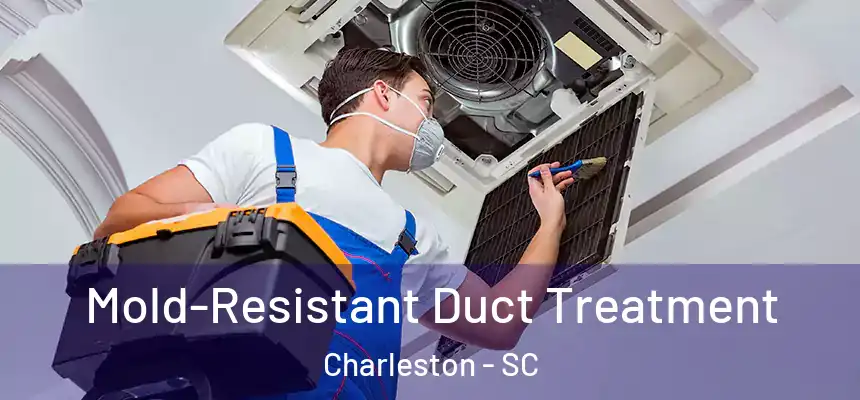  Mold-Resistant Duct Treatment Charleston - SC