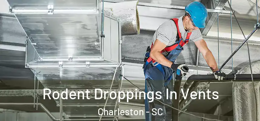  Rodent Droppings In Vents Charleston - SC