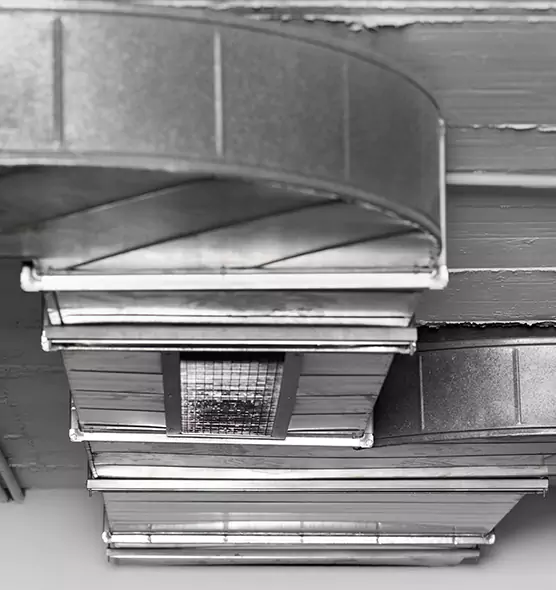 Professional Air Duct Pest Removal in Charleston, SC