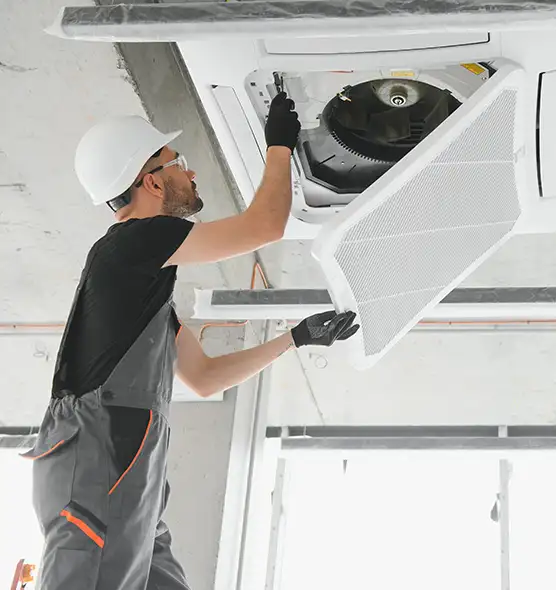 About Air Duct Rodent Removal in Charleston, SC