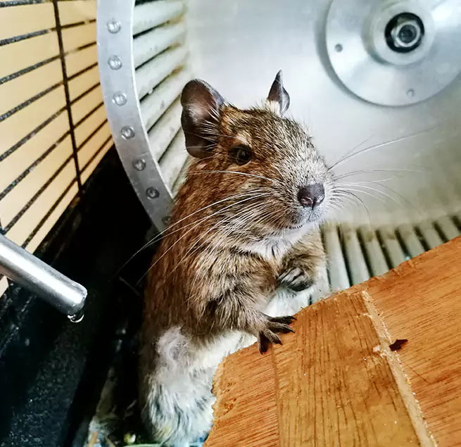 Why Homeowners & Businesses Trust Us Charleston, SC?