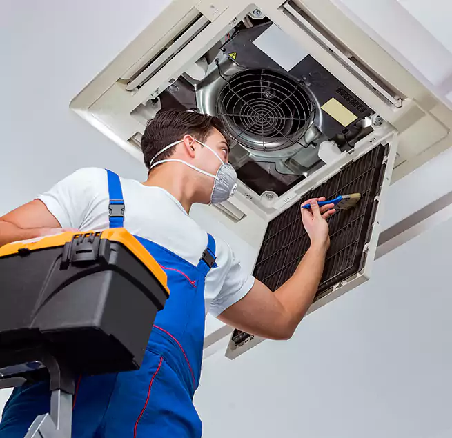 Why Homeowners & Businesses Trust Us in Charleston, SC?