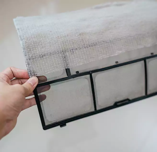 Why Homeowners & Businesses Trust Us in Charleston, SC?