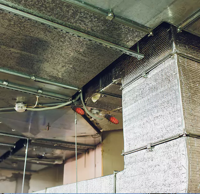 Why Homeowners & Businesses Trust Us Charleston, SC?