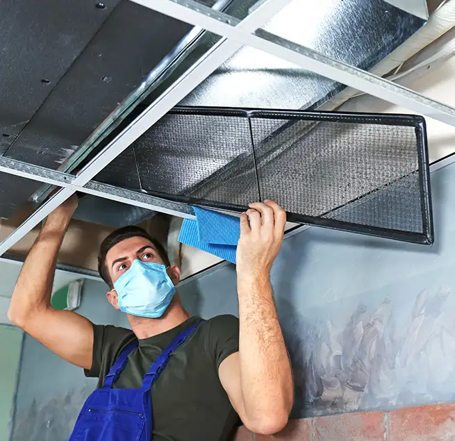 Why Homeowners & Businesses Trust Us in Charleston, SC?