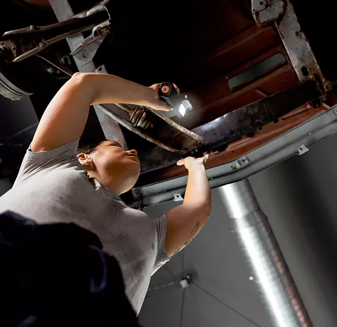 Why Homeowners & Businesses Trust Us Charleston, SC