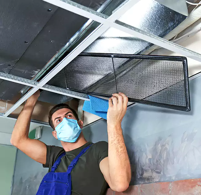 Why Homeowners Businesses Trust Us in Charleston, SC