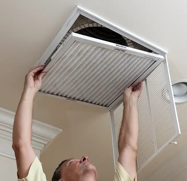 Why Homeowners & Businesses Trust Us in Charleston, SC?